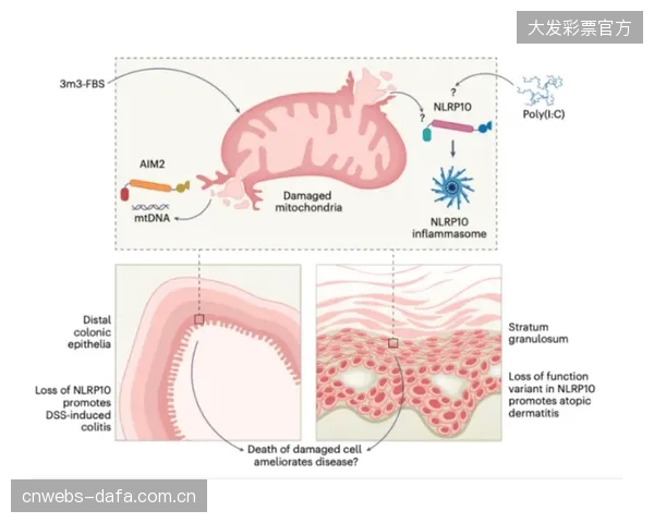新版ISO1101标准生效后，超过九成的传统接触式探针检测法被市场淘汰